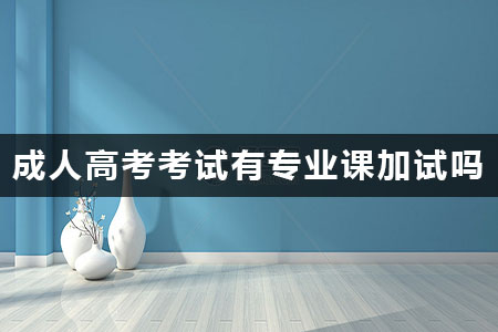 成人高考考試有專業(yè)課加試嗎