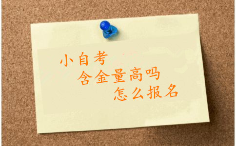 小自考含金量高嗎