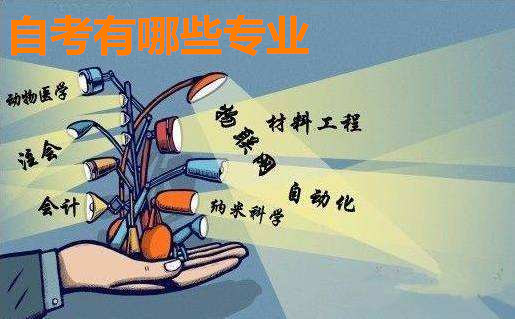 自考有哪些專業(yè)