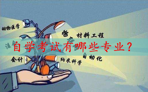 自學(xué)考試有哪些專業(yè)