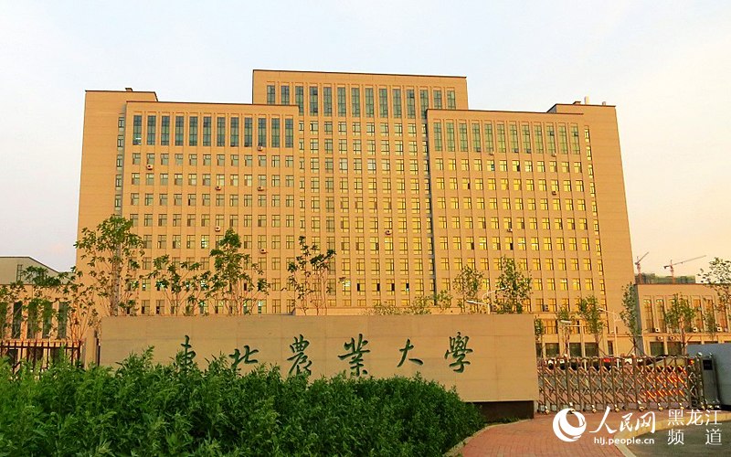 東北農(nóng)業(yè)大學(xué)