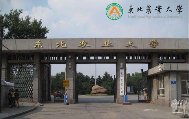 東北農(nóng)業(yè)大學(xué)