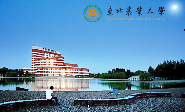 東北農(nóng)業(yè)大學(xué)
