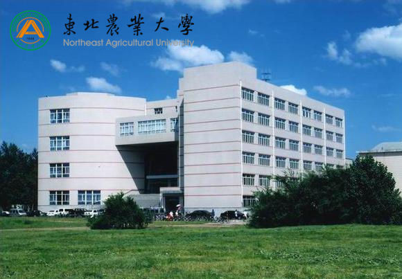東北農(nóng)業(yè)大學(xué)