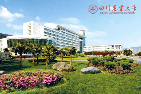四川農(nóng)業(yè)大學(xué)