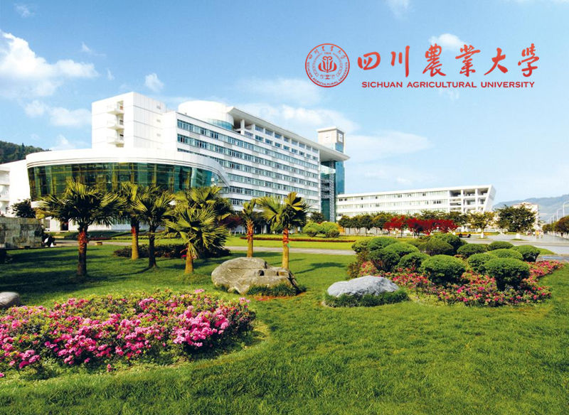 四川農(nóng)業(yè)大學(xué)