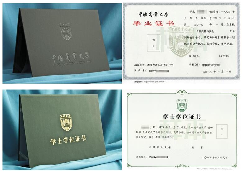 中國農業(yè)大學網絡教育畢業(yè)證