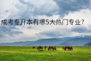 成考專升本有哪5大熱門專業(yè)？你想好選擇什么專業(yè)了嗎？