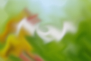 過來人告訴你，其實(shí)成人專升本語文并沒有那么難