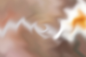 寫好說明文需注意哪些問題？首要是注意觀察
