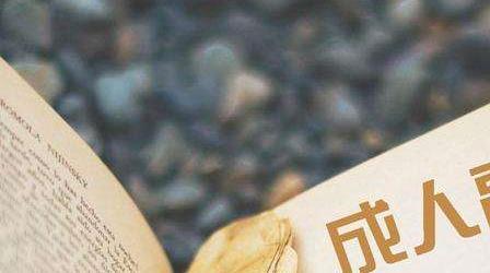初中高中直本科條件成人高考高升本學(xué)校