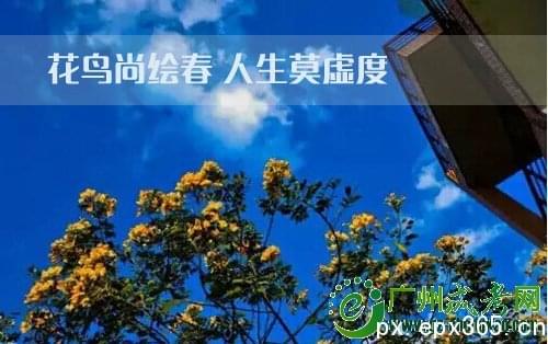 2020年廣東財(cái)經(jīng)大學(xué)成考招生時(shí)間_www.epx365.cn
