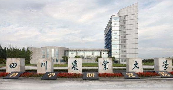 四川農(nóng)業(yè)大學(xué)校園環(huán)境
