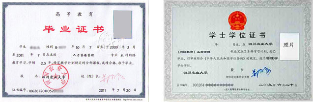 證書樣式