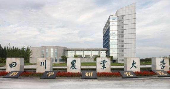 四川農(nóng)業(yè)大學(xué)校園風(fēng)光
