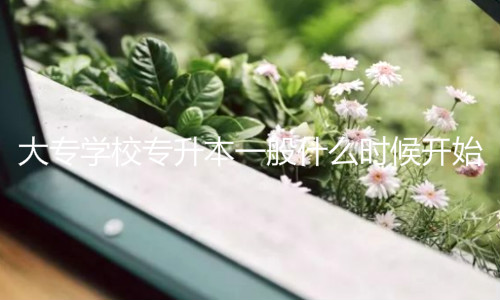 專升本什么時候開始