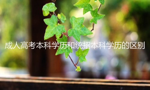 成人高考本科學歷和統(tǒng)招本科學歷