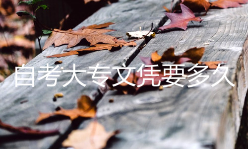 自考大專文憑要多久