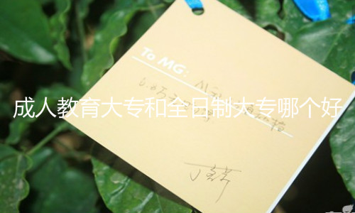 成人教育大專和全日制大專哪個好