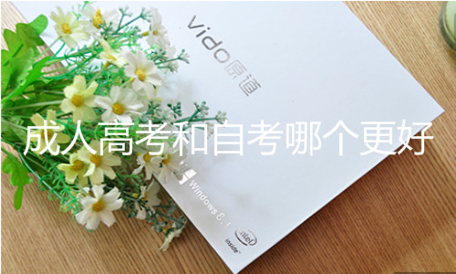 成人高考和自考哪個更好