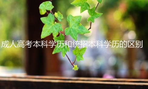 成人高考本科學(xué)歷和統(tǒng)招本科學(xué)歷有什么區(qū)別嗎？