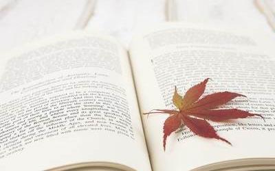 報(bào)讀深圳成人高考有書(shū)籍嗎？