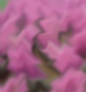 積極應(yīng)對考試前的心理焦慮和不自信，助你輕松取得成考高分