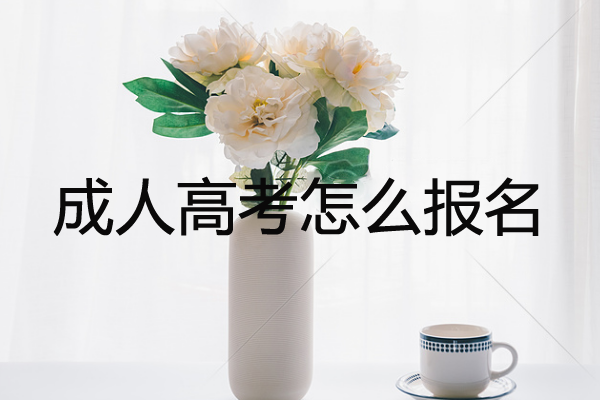 成人高考怎么報(bào)名？2020年成人高考報(bào)名最全指南