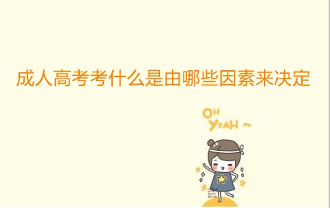 成人高考考什么是由哪些因素來決定