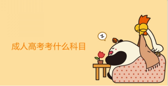 成人高考考什么是由哪些因素來決定