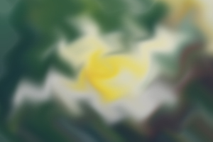 成人專升本語文小說材料精選《斷魂槍》的關(guān)鍵知識點講解