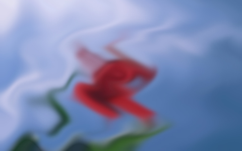 成考數(shù)學科目應該怎么復習？當然還是做題是關鍵