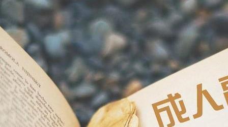 成人高考女生報(bào)考什么專業(yè)好？有什么專業(yè)介紹？
