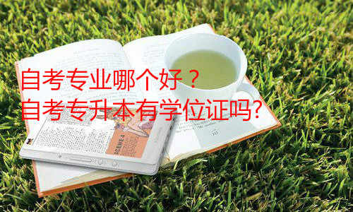 本科自考有哪些專業(yè)？2020自考本科通過(guò)率高的專業(yè)排名