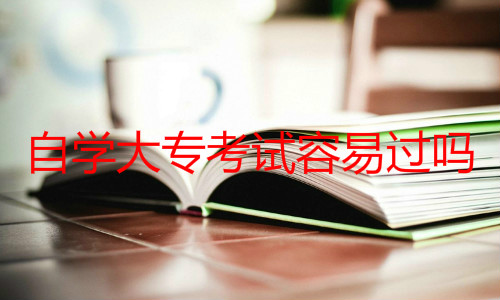 自學(xué)大?？荚嚾菀走^嗎