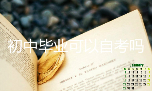 初中畢業(yè)可以自考嗎