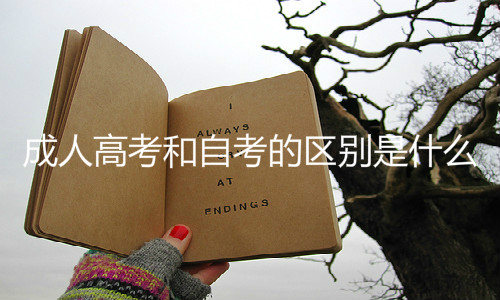 成人高考和自考的區(qū)別是什么