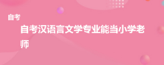 ?自考漢語言文學(xué)專業(yè)能當小學(xué)老師嗎