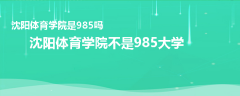 沈陽體育學院是985嗎