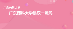 廣東藥科大學(xué)是雙一流嗎