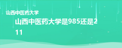 山西中醫(yī)藥大學(xué)是985還是211