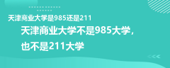 天津商業(yè)大學(xué)是985還是211
