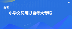 小學(xué)文憑可以自考大專嗎
