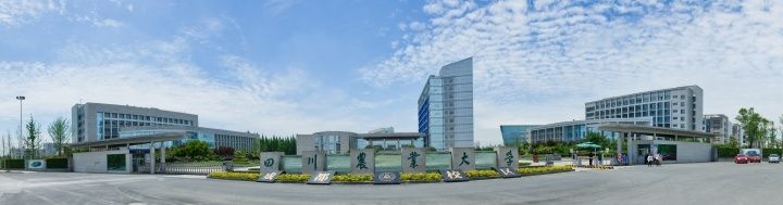 四川農(nóng)業(yè)大學(xué)校園環(huán)境