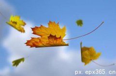 中?；蛘吒咧袑W(xué)生如何報(bào)考成人高考