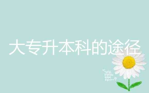 真實(shí)經(jīng)歷爆料大 專升本科的途徑