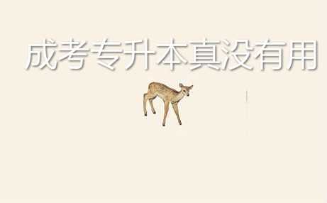 過(guò)來(lái)人真實(shí)經(jīng)歷說(shuō)說(shuō) 成考 專升本真沒(méi)有用