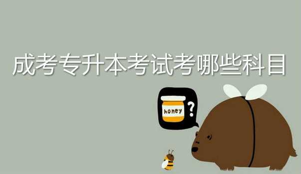 過來人說說 成考 專升本考試考哪些科目