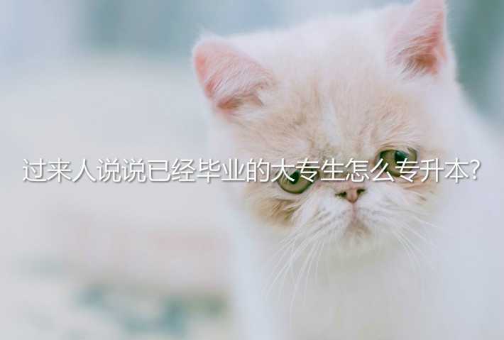 過來人說說已經(jīng)畢業(yè)的大專生怎么 專升本?