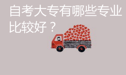  自考大專有哪些專業(yè)比較好?